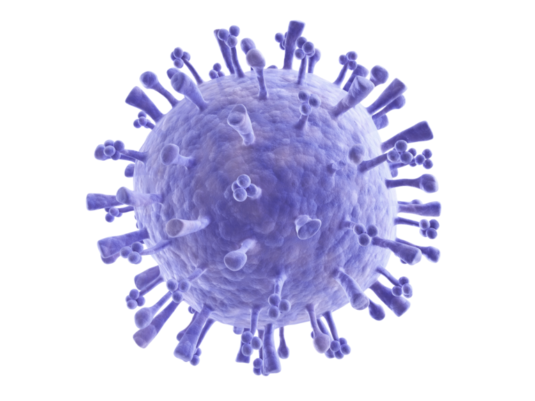 Flu Virus