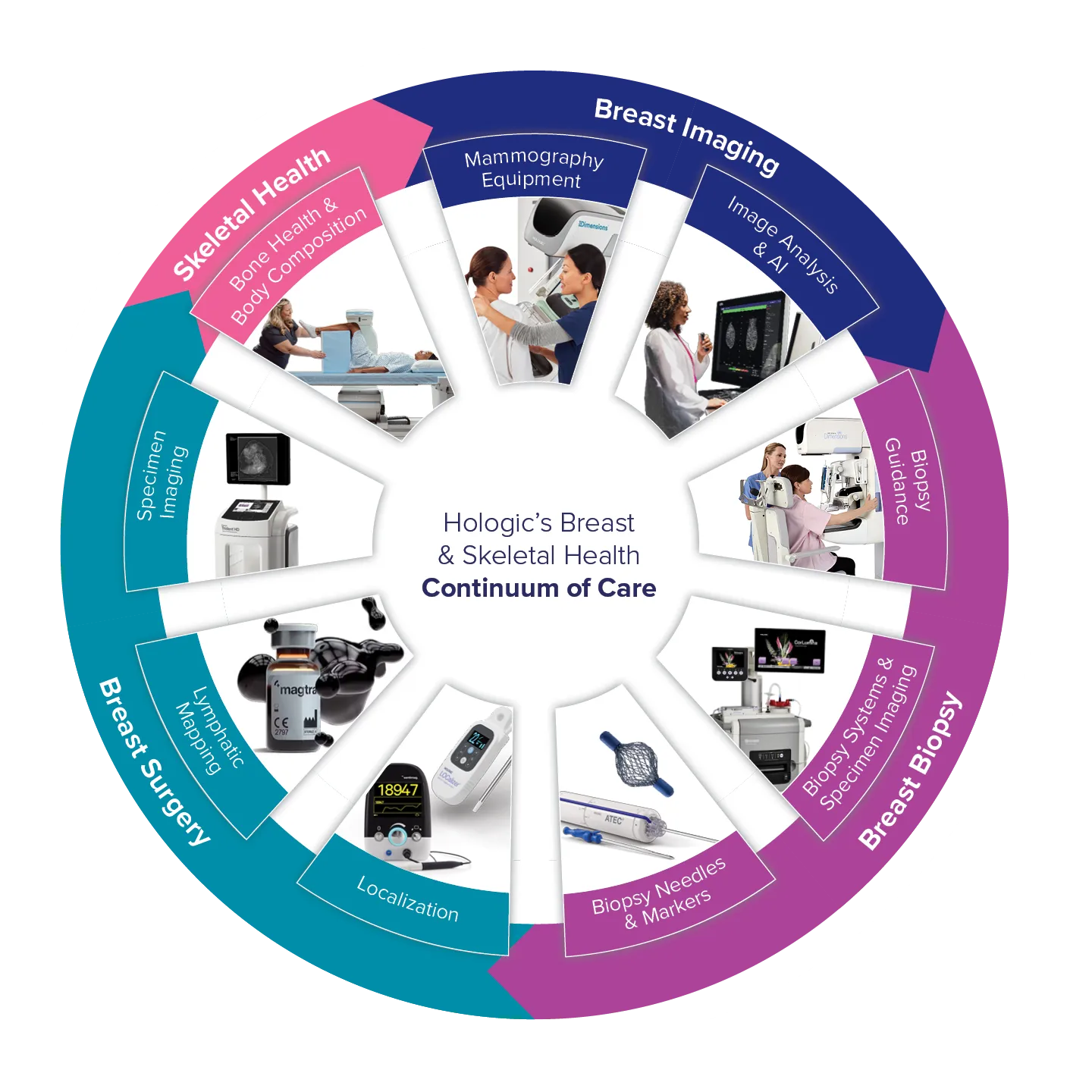 Illustration of Hologic Breast Health Continuum of Care