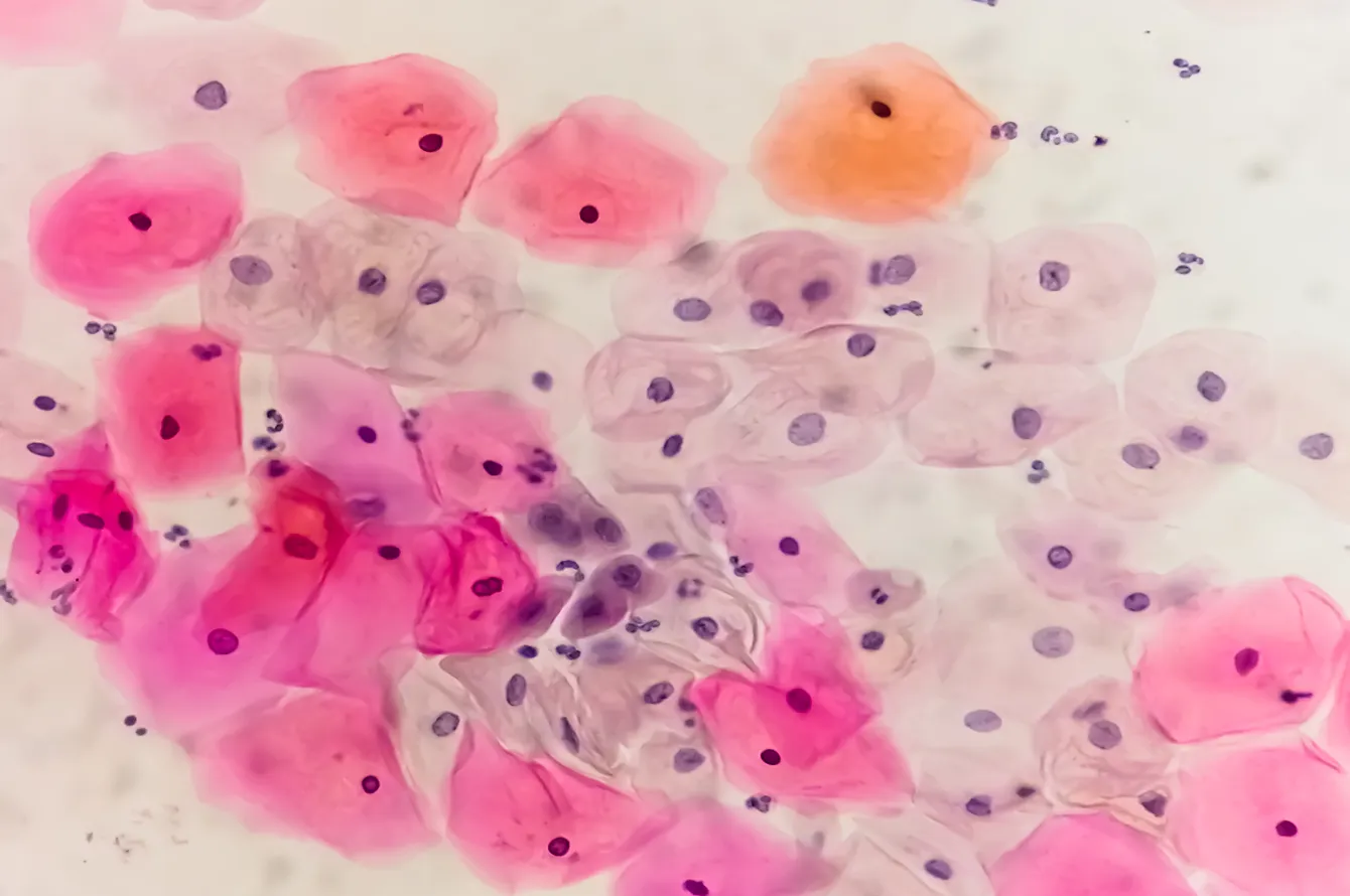 Illustration of micro biology