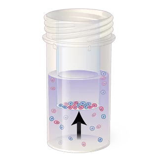 Cell collection in a vial
