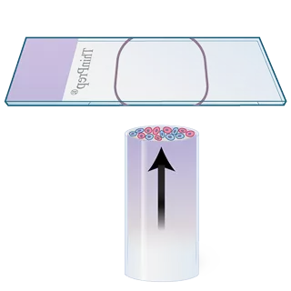 Cell transfer